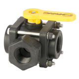 1" FPT Poly Ball Valve